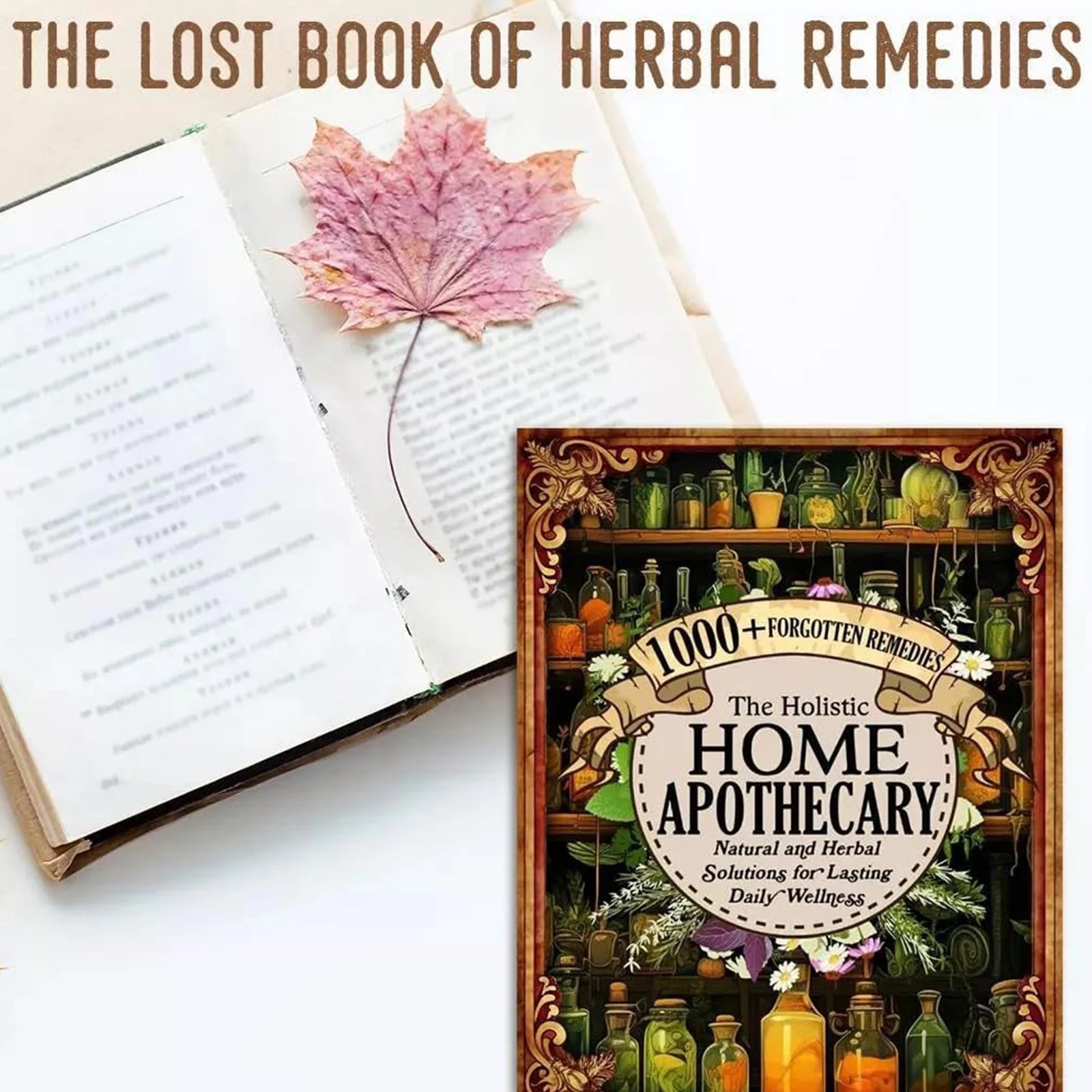 The Lost Book of Herbal Remedies A Beginner's Guide to Exploring Traditional Plant Wisdom Gift for Friends Family Members