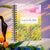 52 Week Women's Study Guide, One Year Study Manual, Spiritual Growth, Daily Devotional, English, Adult Study Books