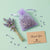 Premium Natural Lavender Dry Flower For Aromatherapy, Fresh Air,Relaxing Scent,Sleep Aid, Incense, Potpourri Home Decorations