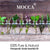 MOCCA Roman Chamomile Essential Oil (100% PURE & NATURAL - UNDILUTED) Therapeutic Grade - Huge 1oz.