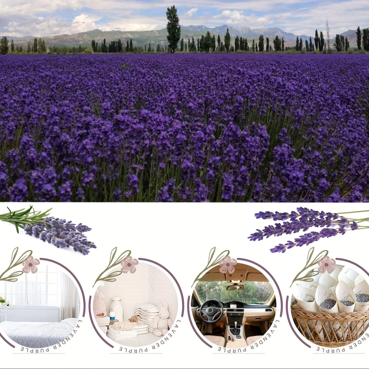 100g/3.5oz Dried Lavender, Aromatic Ingredients. for Home Decoration,Refreshing Clothes, Wedding Decorations, and Parties.