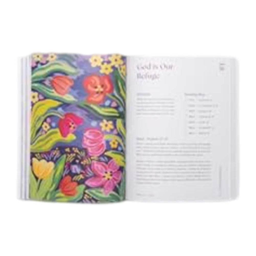 A Beautiful Year in The Bible The 52-Week Bible Study for Women The Bible in 52 Weeks for Women Bible Study Book Paperback