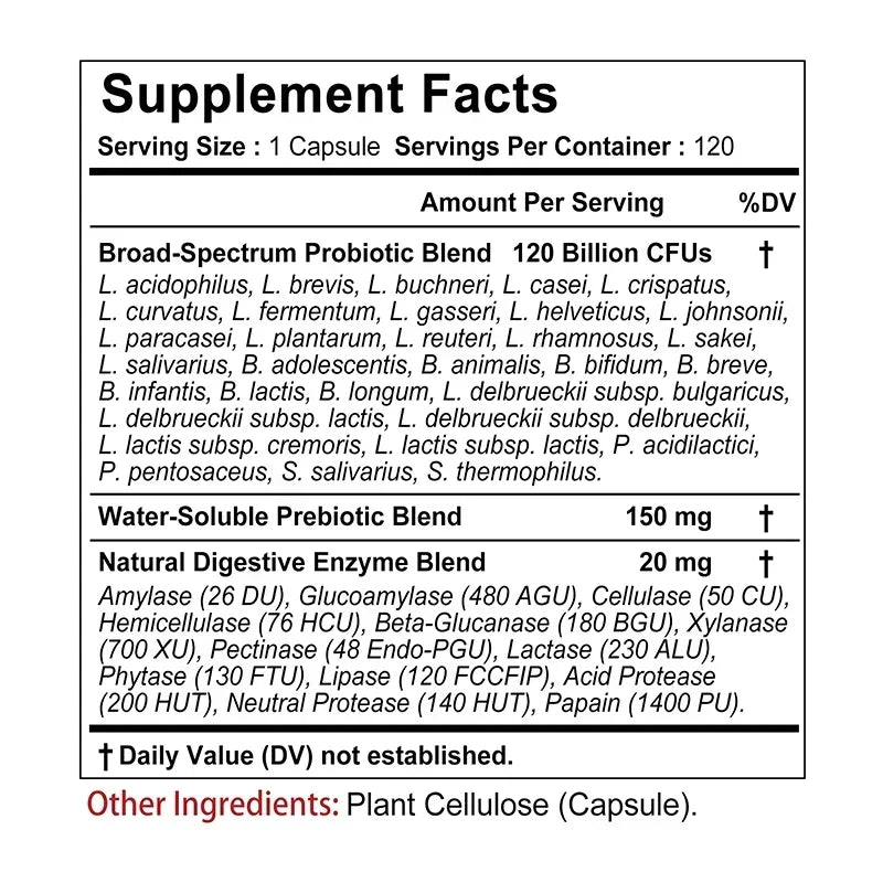 Probiotics + Prebiotics + Digestive Enzymes - Promotes Healthy Digestion, Relieves Bloating, for Gut Health