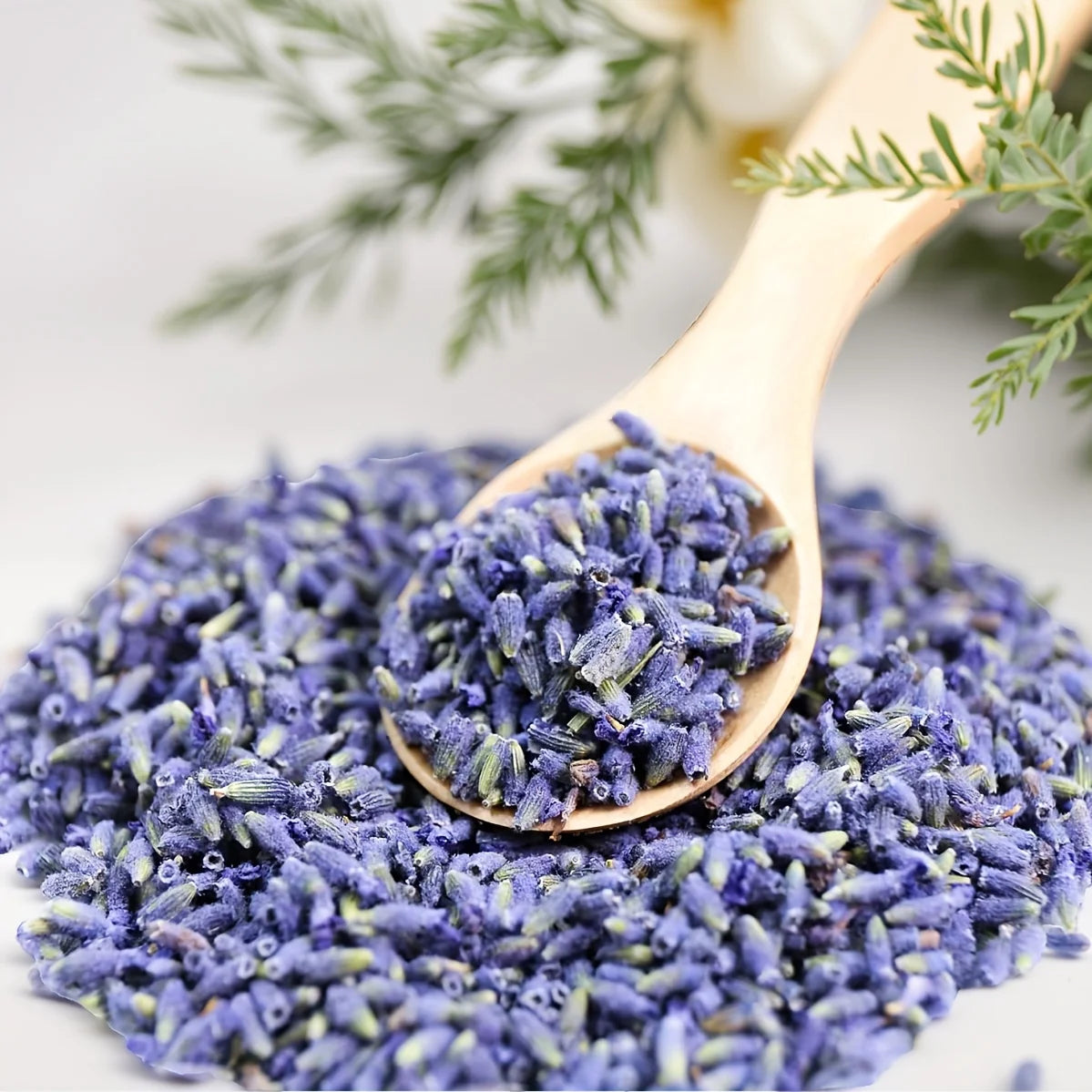 100g/3.5oz Dried Lavender, Aromatic Ingredients. for Home Decoration,Refreshing Clothes, Wedding Decorations, and Parties.